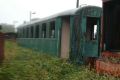 Rog�w W�sk., 21.09.2008, foto Geoff Jenkins